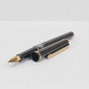 Vintage Pilot Duet FS 14K Gold Nib Fountain Pen / Japan